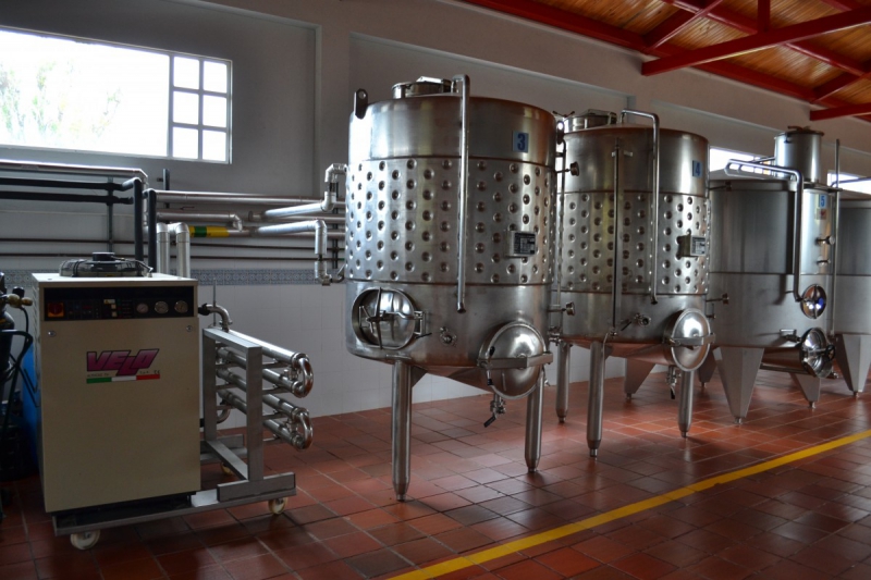 cave-VILLENEUVE LOUBET-min_wine_production_cantine_winery_drink_alcohol_vine_beverage-902036